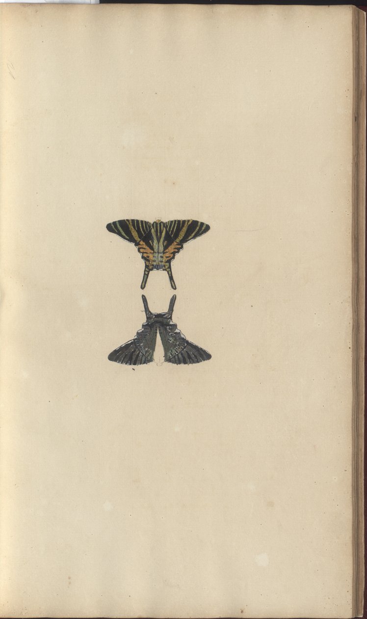 Disegni di Lindsay Vol. VI, 48 da John Lindsay