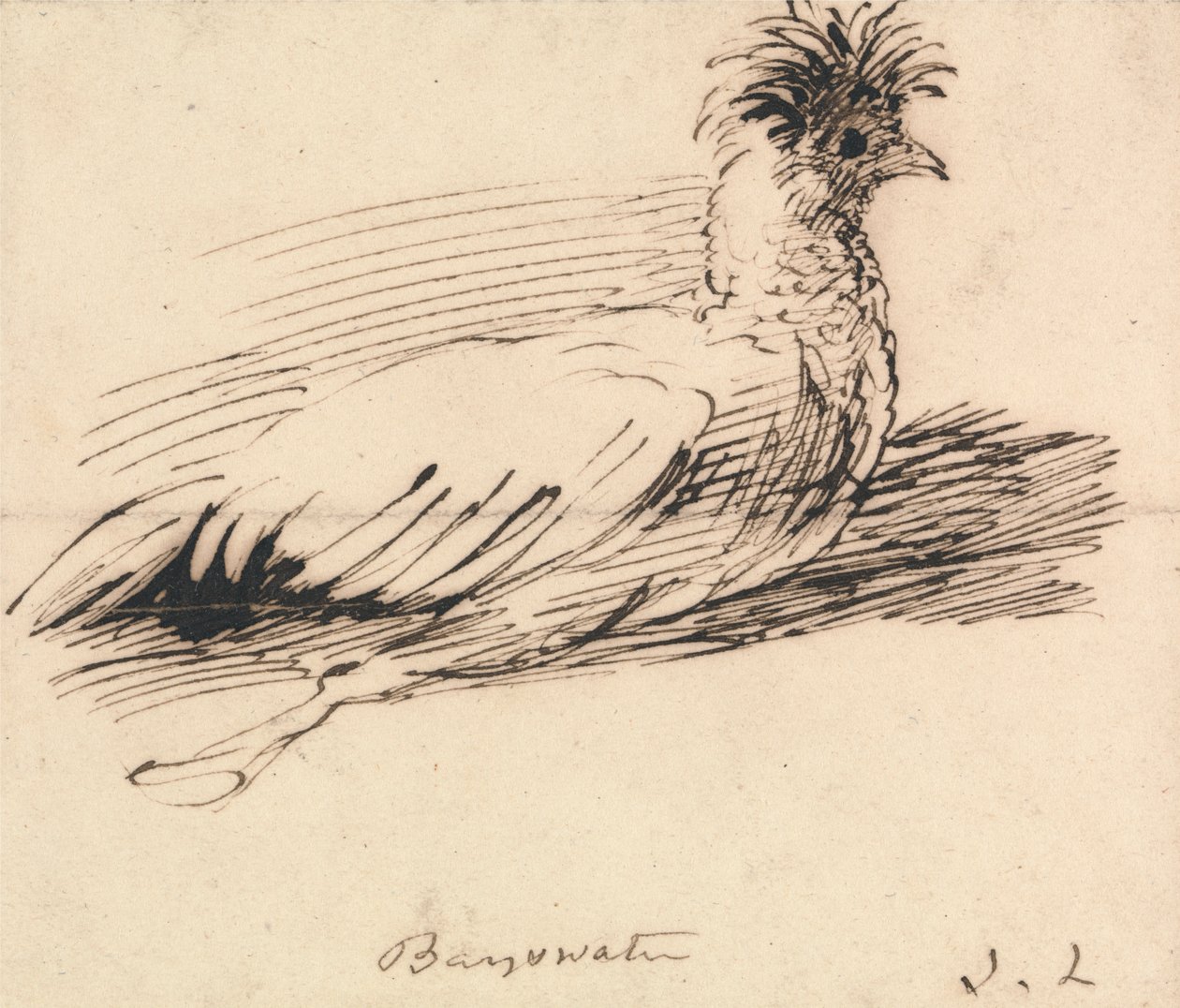Una gallina da John Linnell