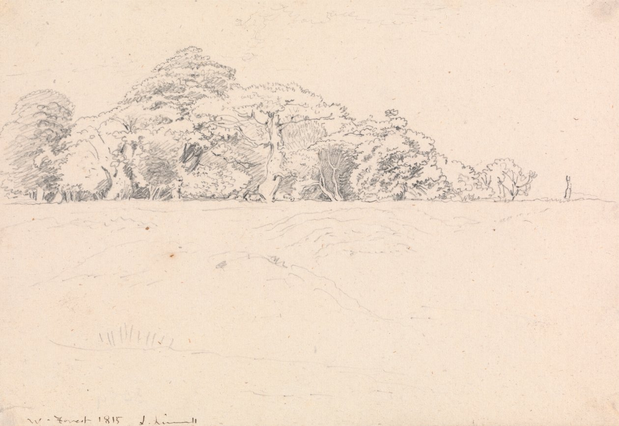 Foresta di Windsor da John Linnell