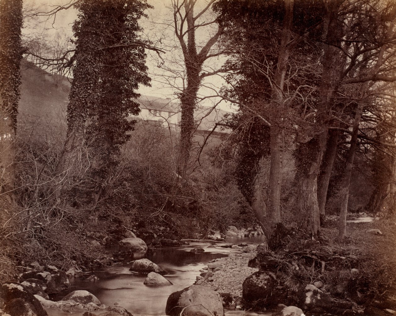 Senza Titolo, c. 1859 da John Lloyd