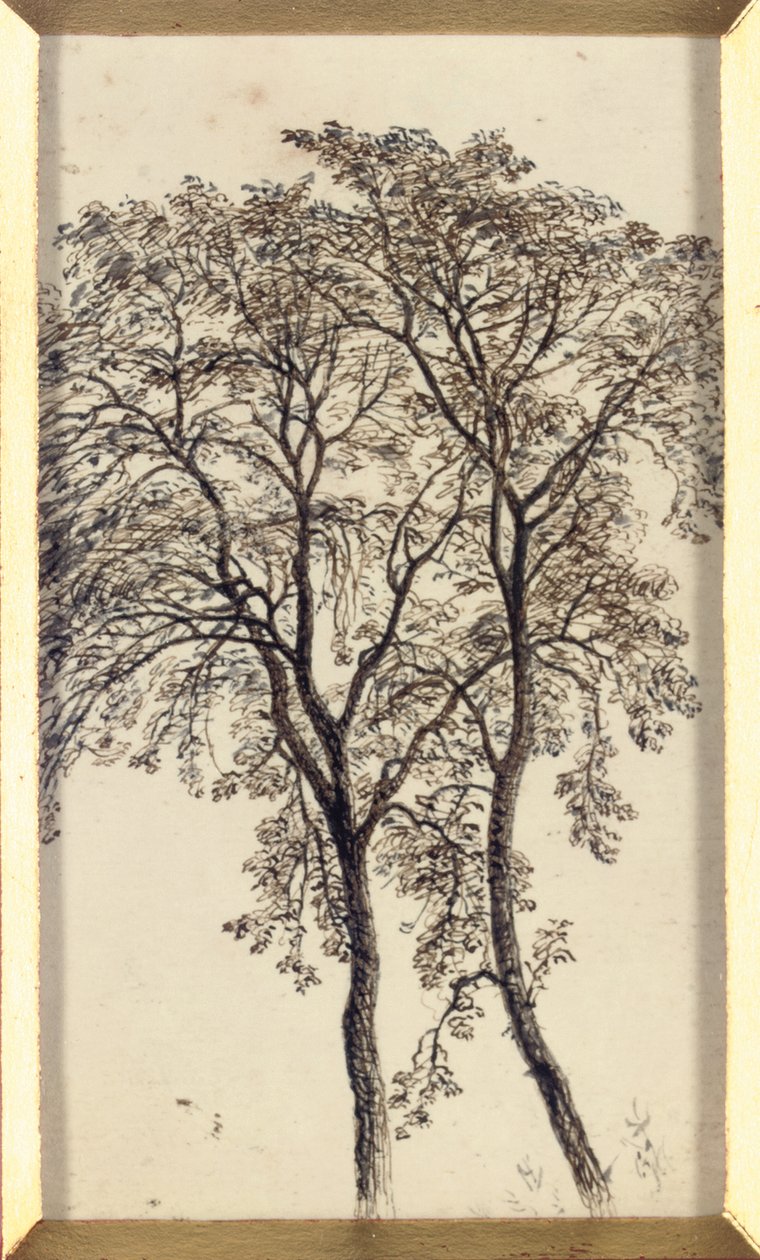 Studio di alberi da John MacWhirter