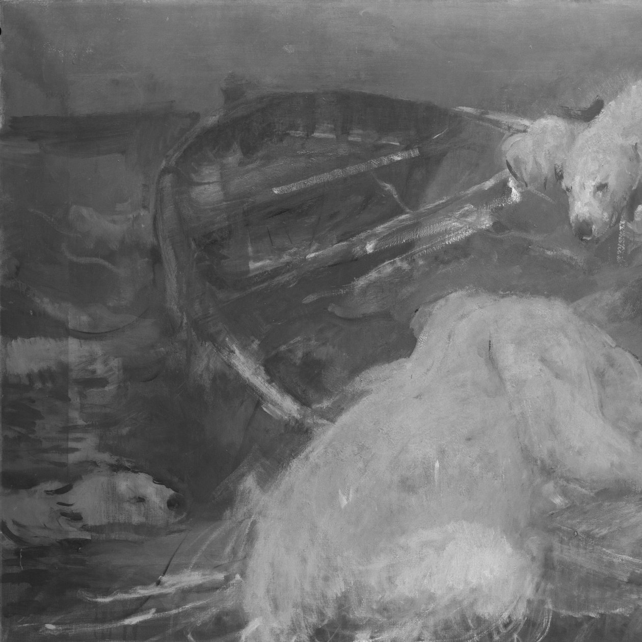 Orsi polari scalano una scialuppa alla deriva da John Macallan Swan