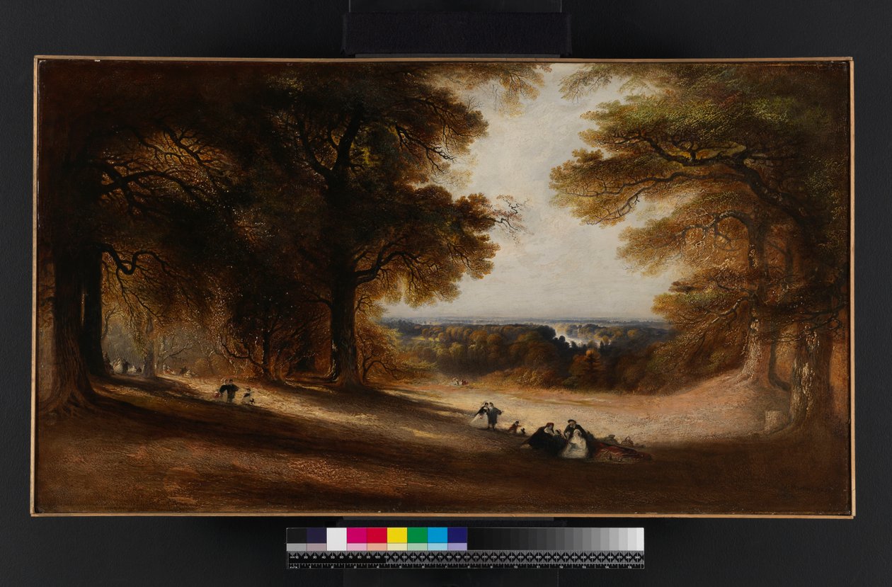 Paesaggio: Vista nel Richmond Park da John Martin