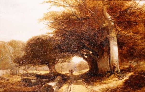 Paesaggio boschivo da John Middleton