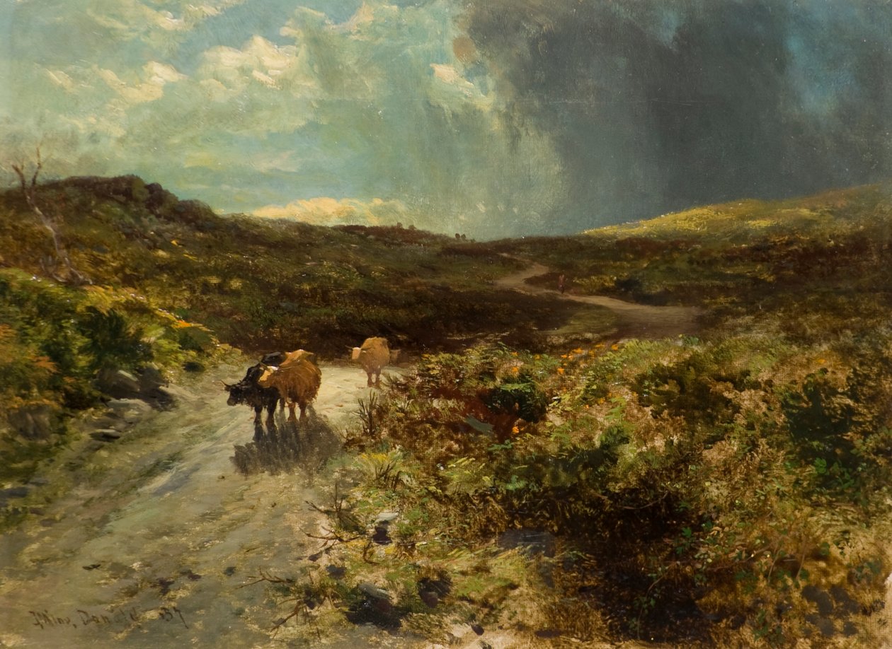 La strada dei pastori da John Milne Donald