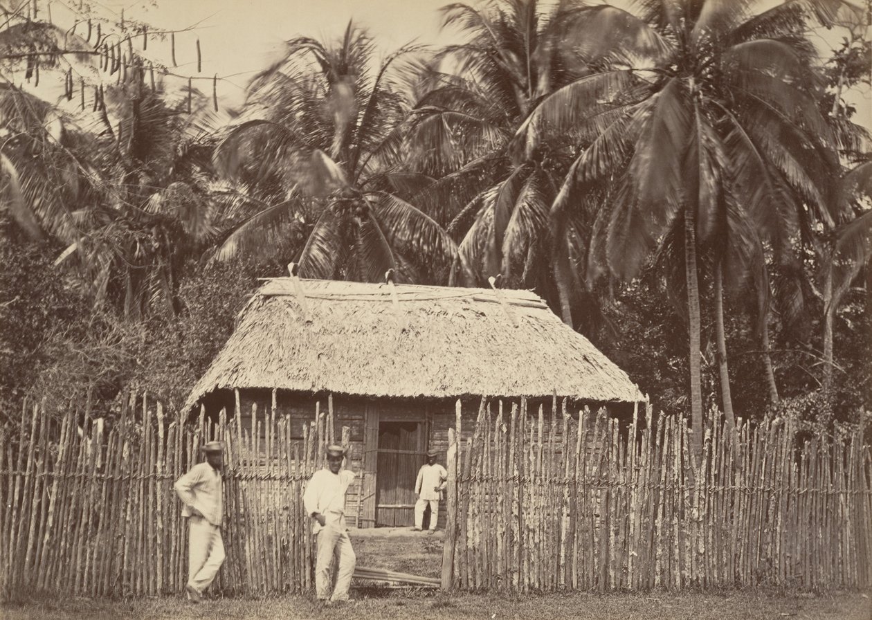 Scenari tropicali, capanna nativa, Turbo, 1871 da John Moran