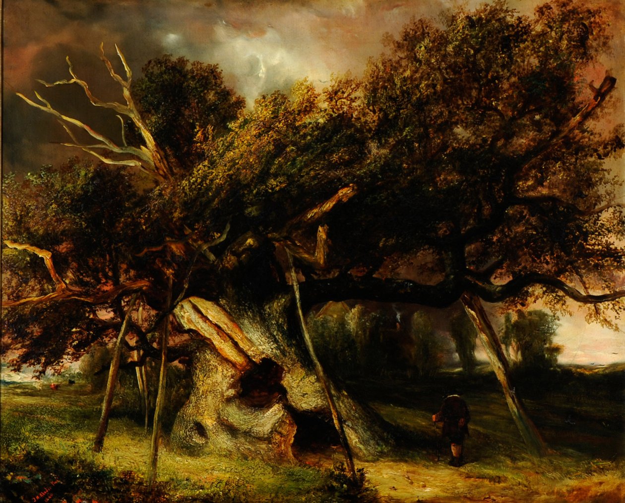 La quercia di Cowthorpe da John Nicholas Rhodes
