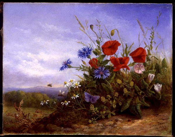 Fiori selvatici su una riva da John Rees