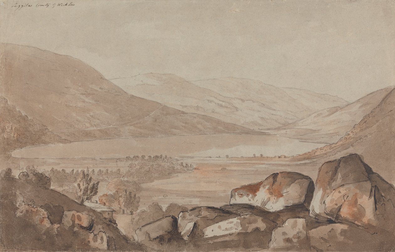 Luggila, contea di Wicklow da John Renton