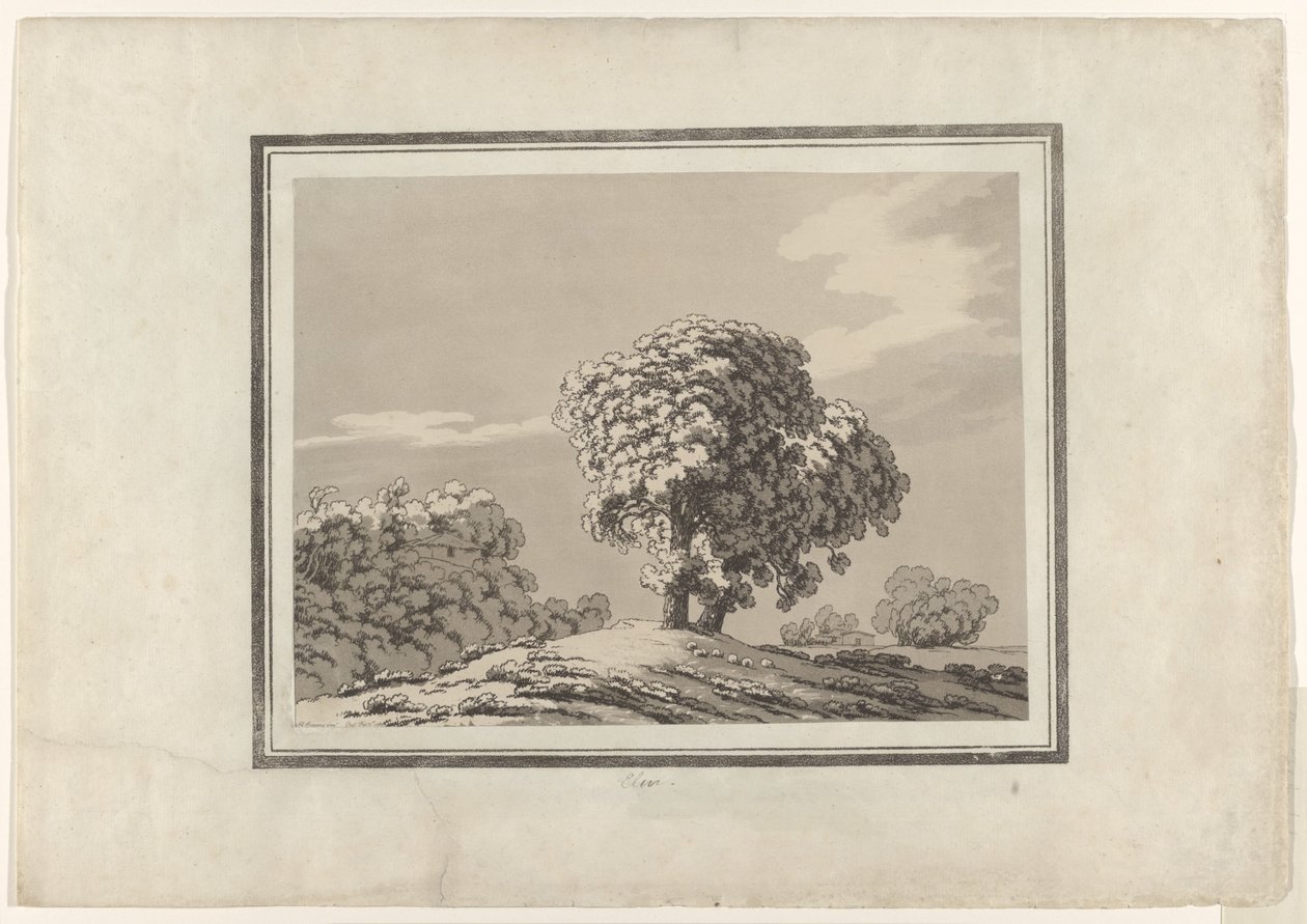Olmo da John Robert Cozens