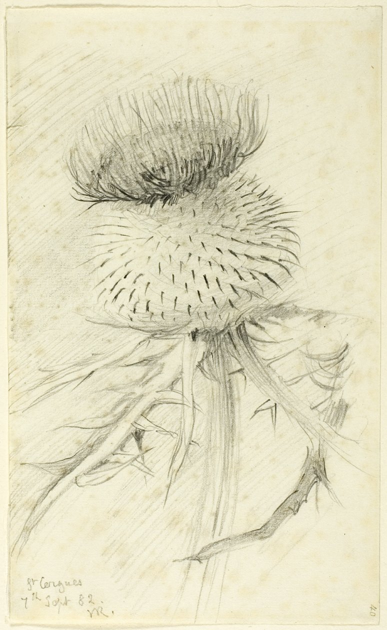 San Cergues da John Ruskin