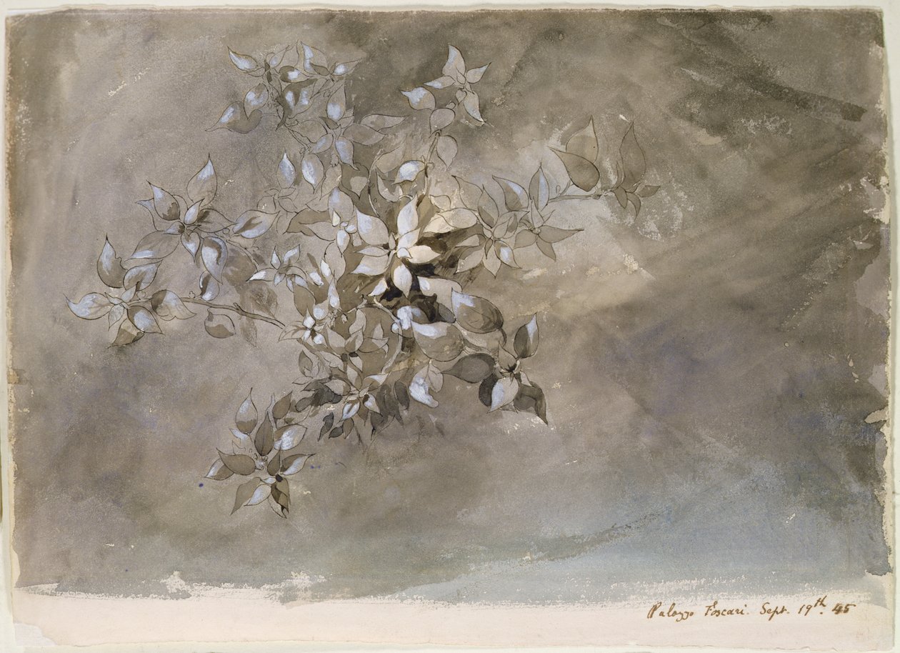 Studio di fogliame da John Ruskin