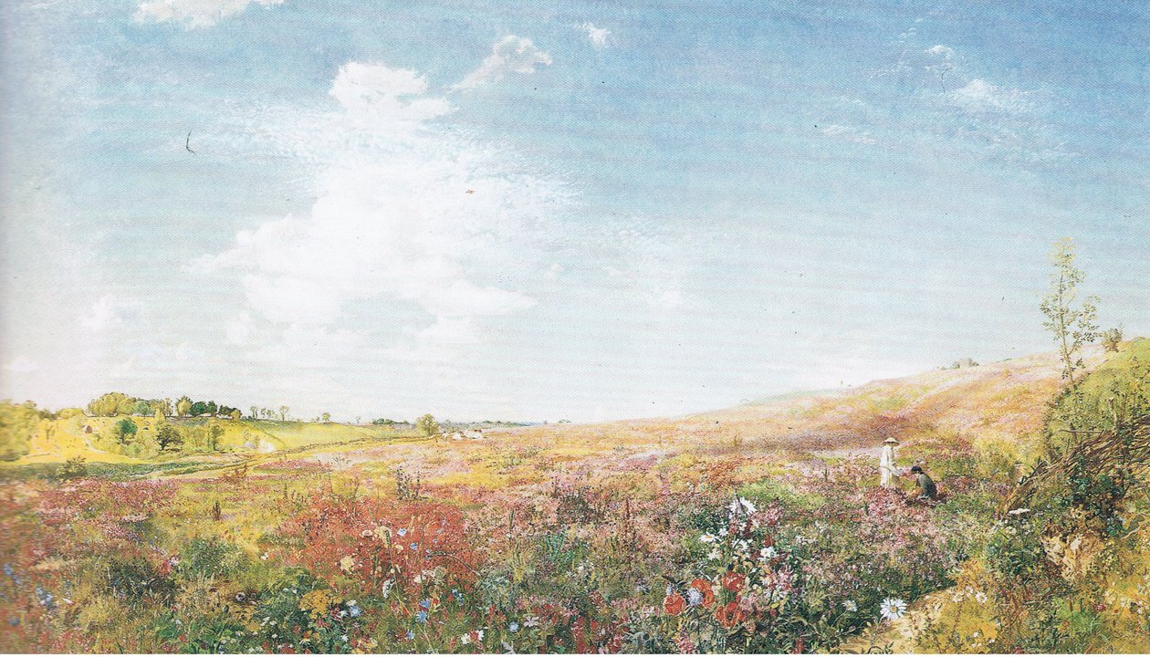 Paesaggio estivo da John Samuel Raven