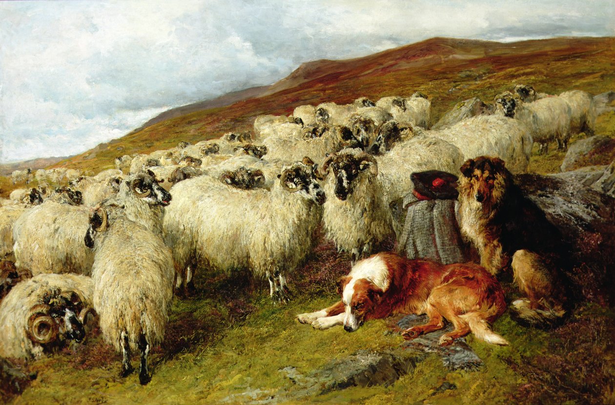 Stanco ma vigile da John Sargent Noble
