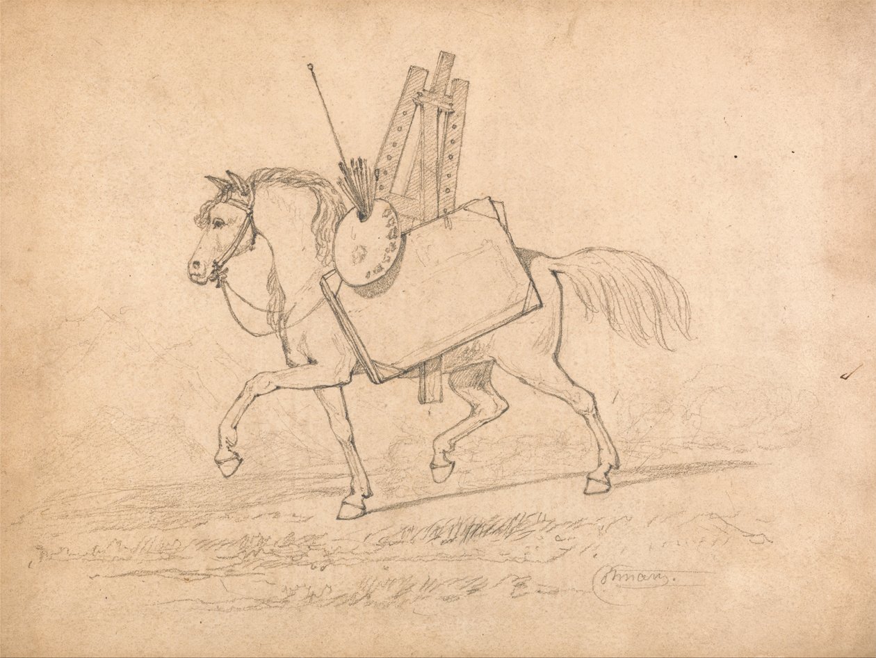 Cavallo carico di oggetti d