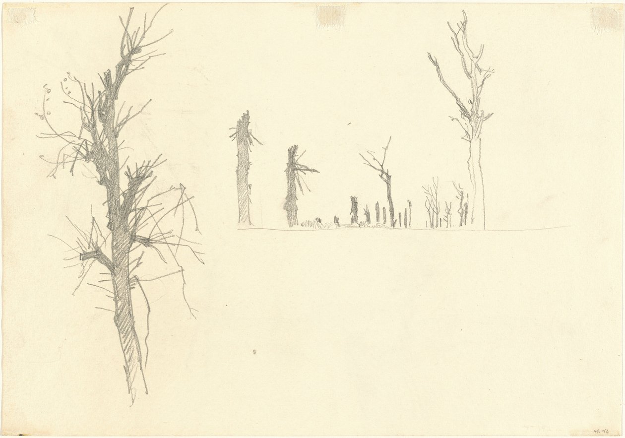 Alberi devastati (verso) da John Singer Sargent