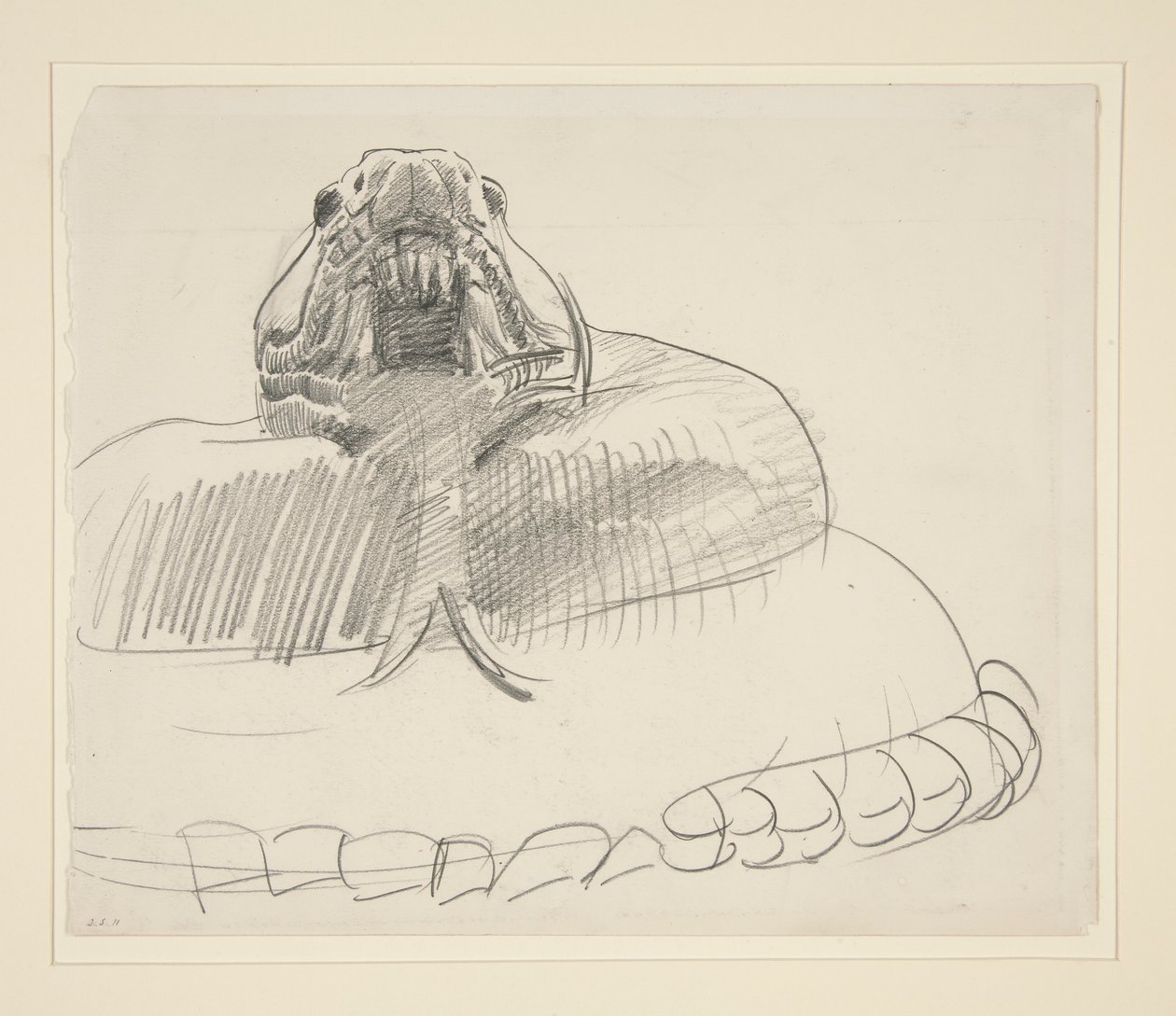 Serpente a Sonagli da John Singer Sargent
