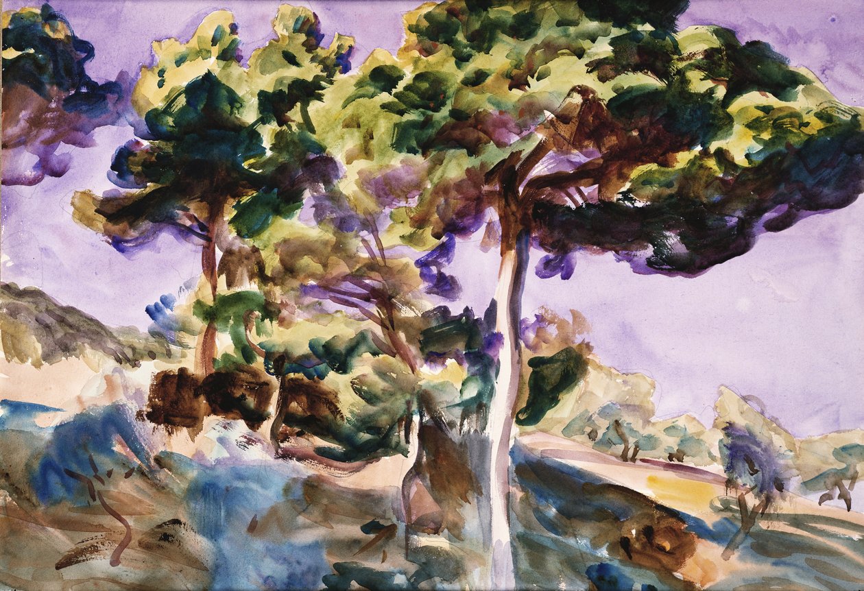 Alberi da John Singer Sargent