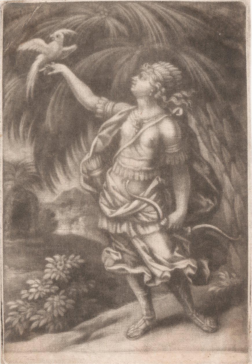 Un Falconiere da John Smith