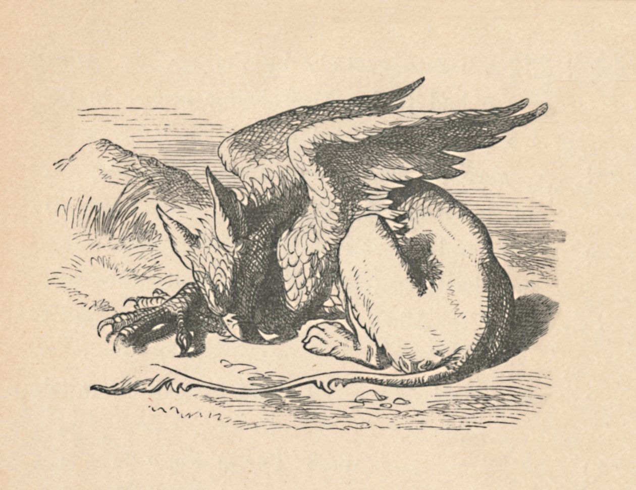 Il Grifone addormentato al sole da John Tenniel