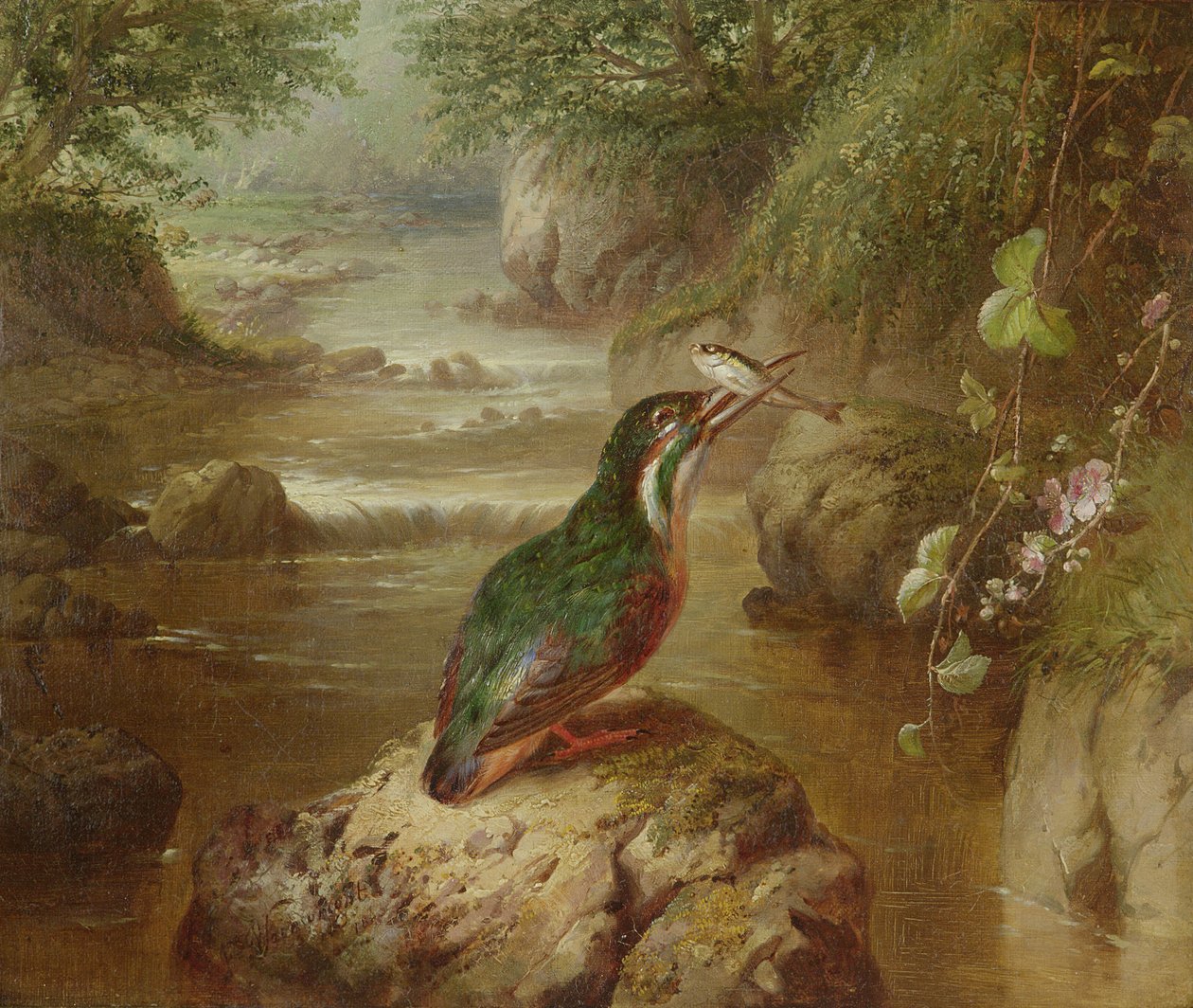 Il rifugio del martin pescatore da John Wainwright