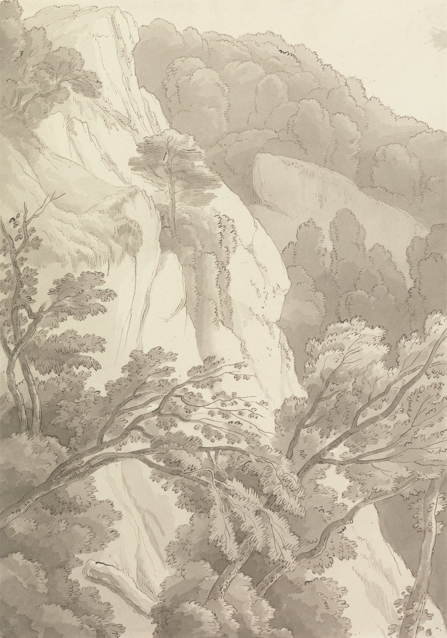Canonteign da John White Abbott