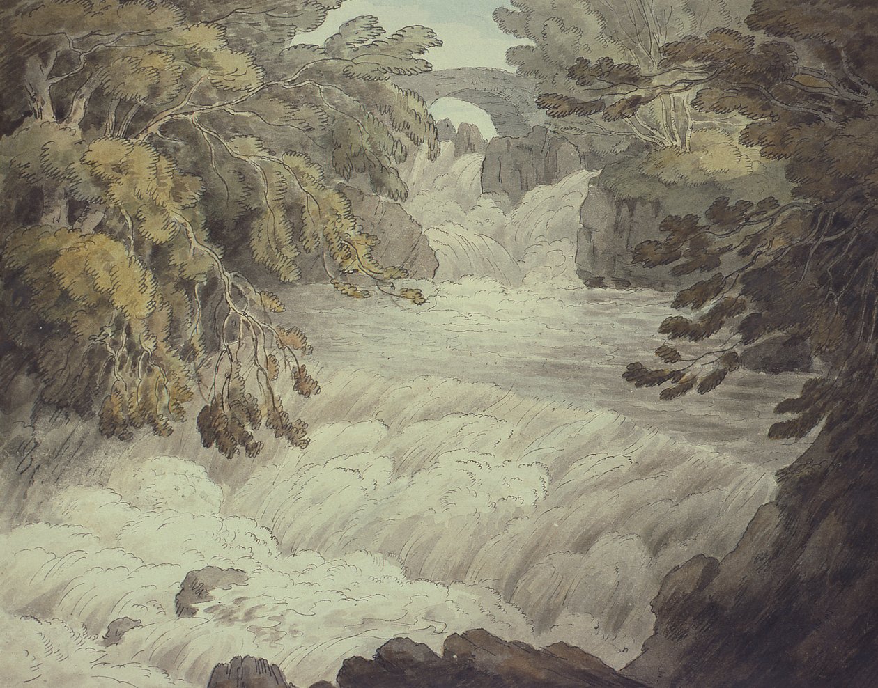 Cascata a Cladish da John White Abbott