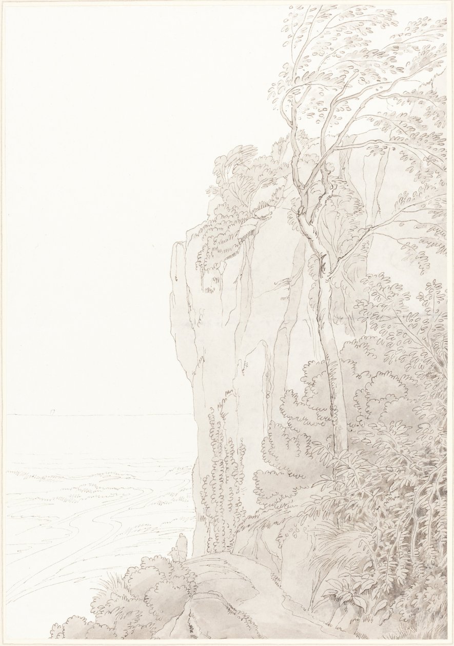 Scogliere a picco sopra una strada costiera da John White Abbott