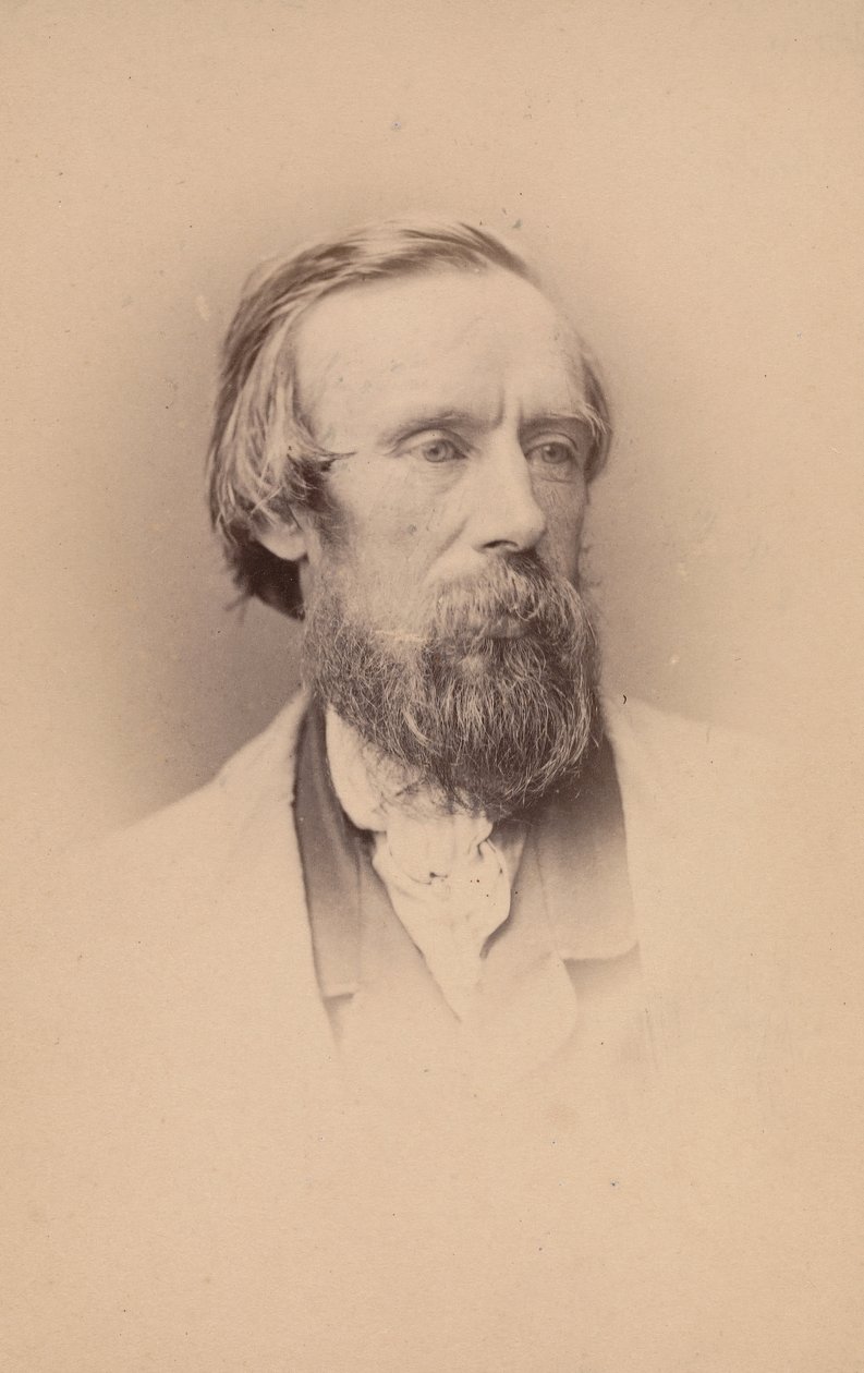 Edwin Hayes, anni 1860 da John and Charles Watkins
