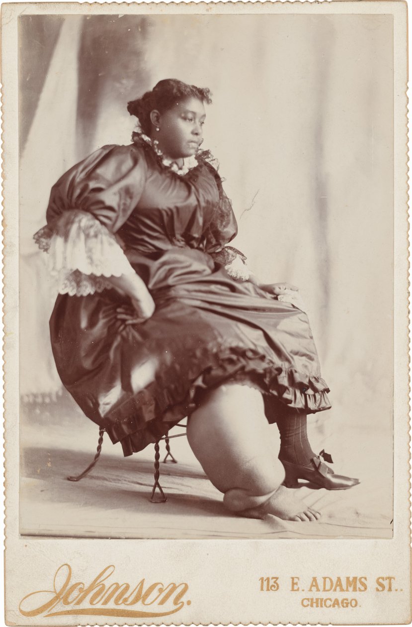 Ritratto di donna, c. 1890 (foto) da Johnson