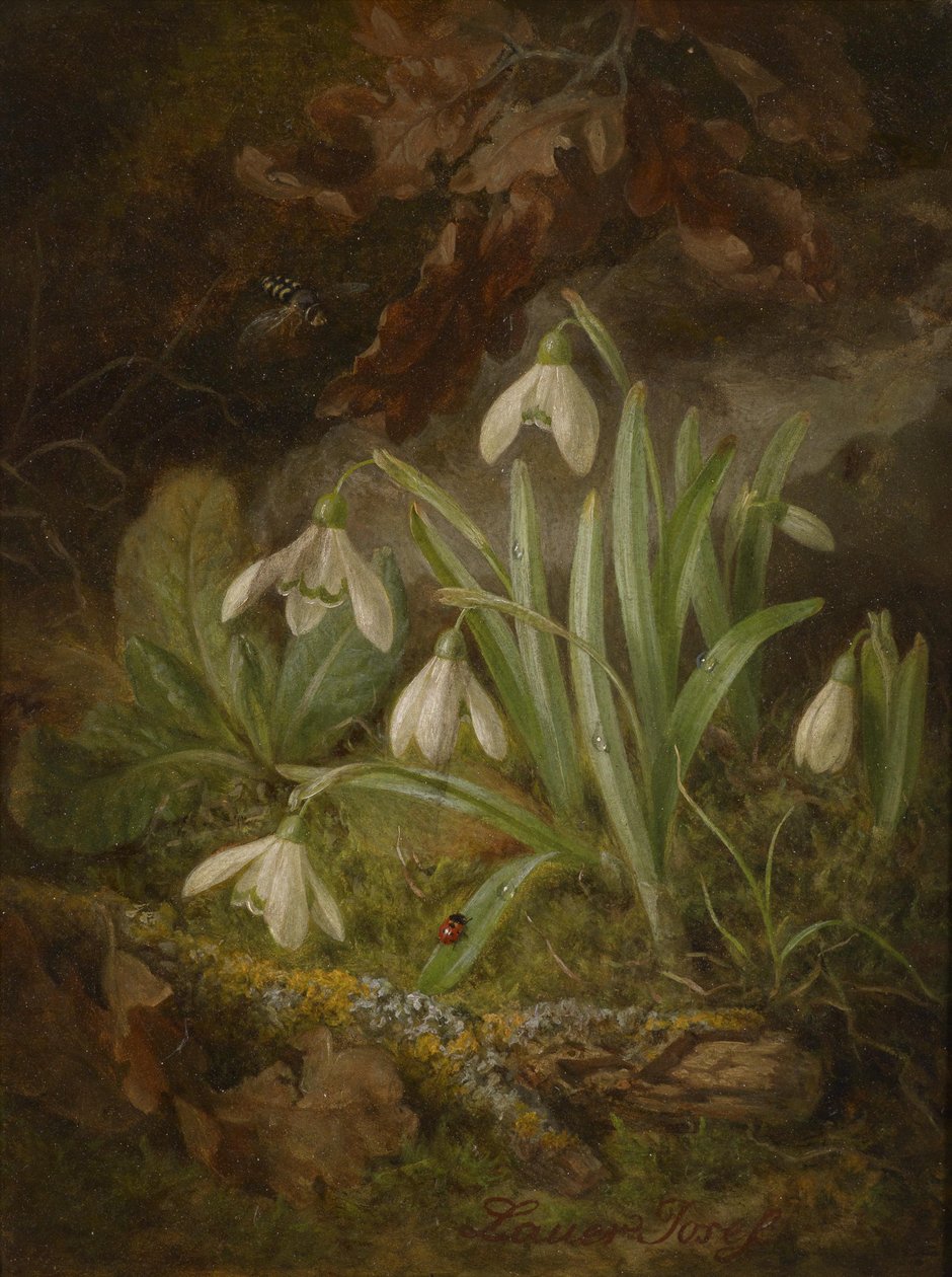 Pezzo di foresta con bucaneve da Josef Lauer