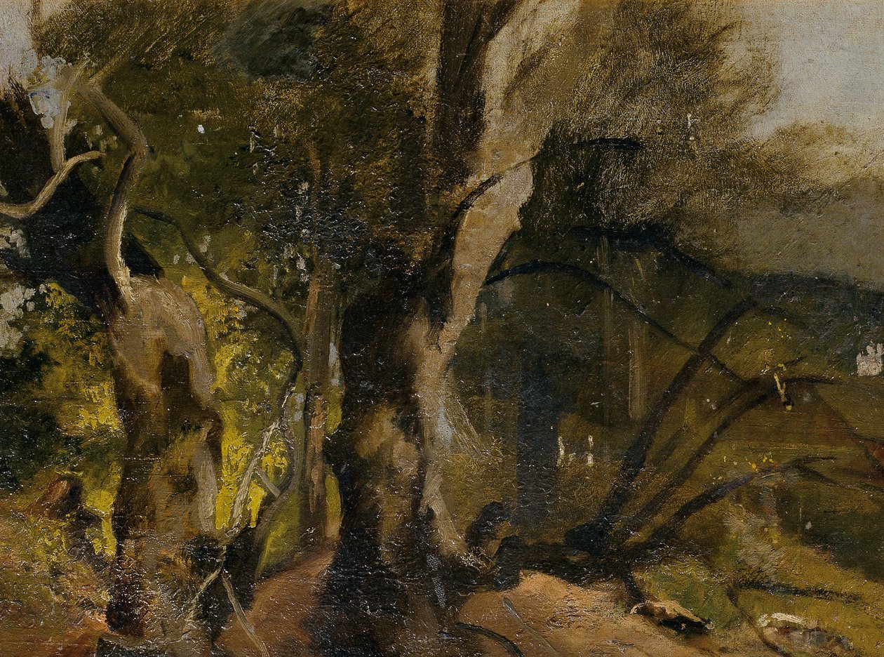 Studio di foresta da Josef Navrátil