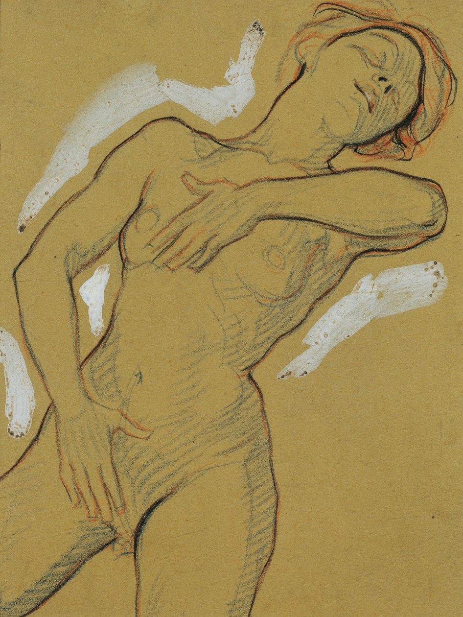 Nudo di ragazza da Josef Wawra