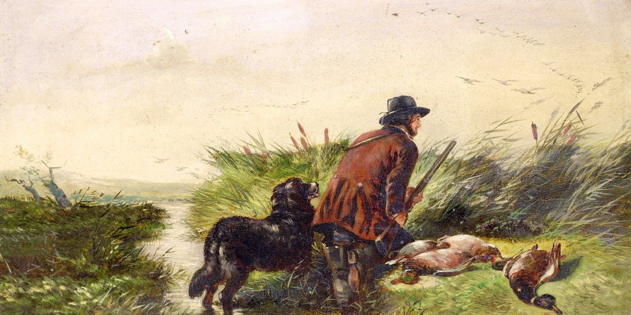 Anatre in volo dopo un dipinto di Richard Ansdell (1815-85) da Joseph Bensted