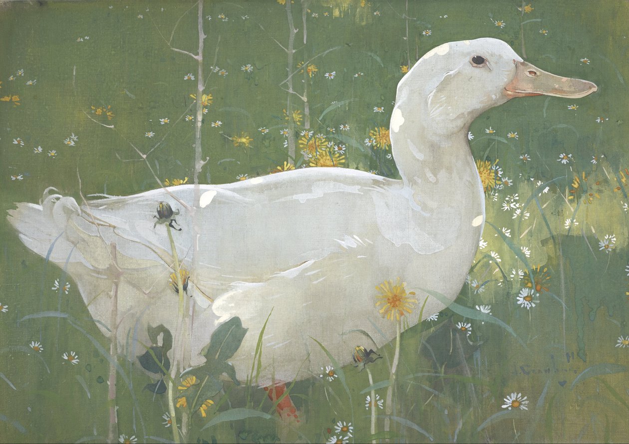 Il drake bianco da Joseph Crawhall