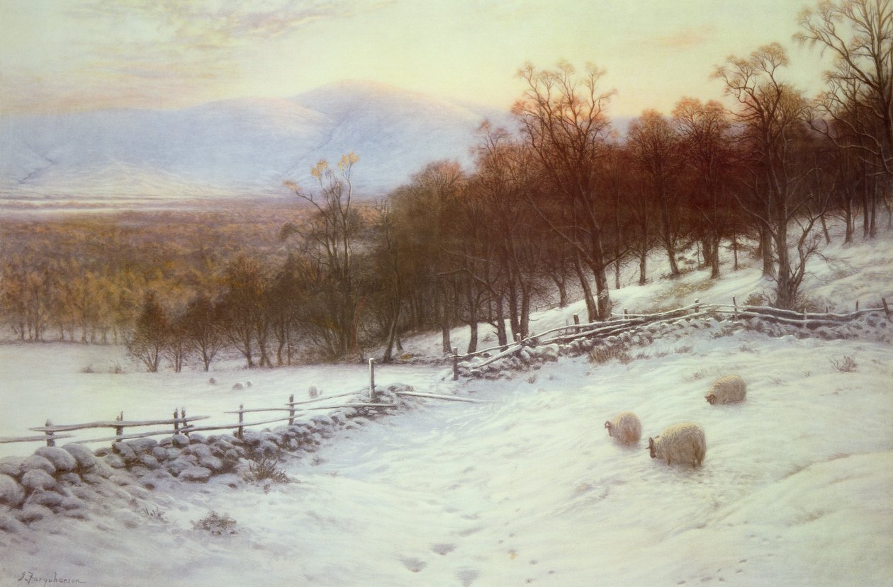 Campi coperti di neve con pecore da Joseph Farquharson