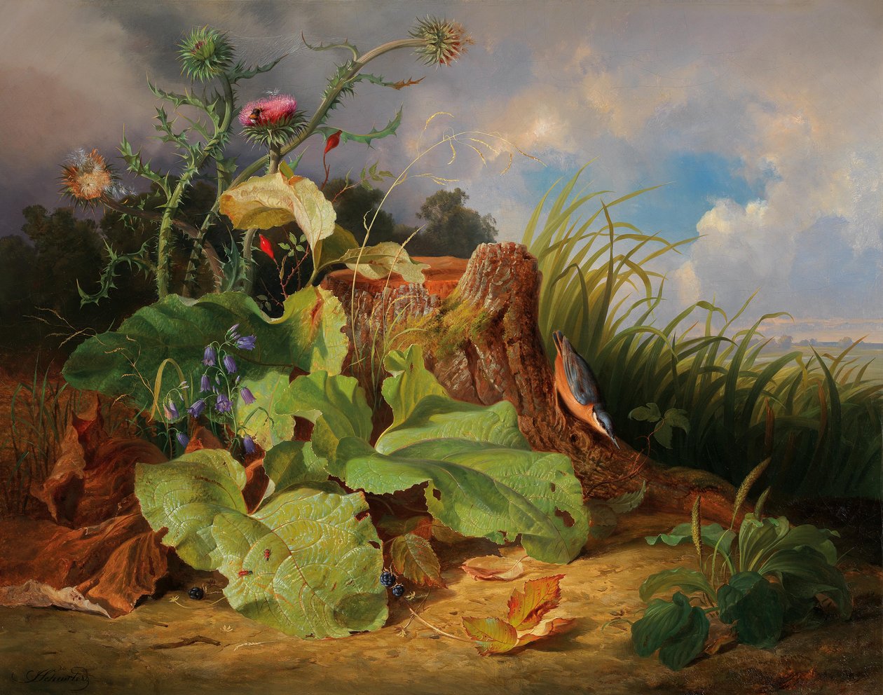 Natura morta con cardi, campanule, cinorrodi e un picchio muratore da Joseph Schuster