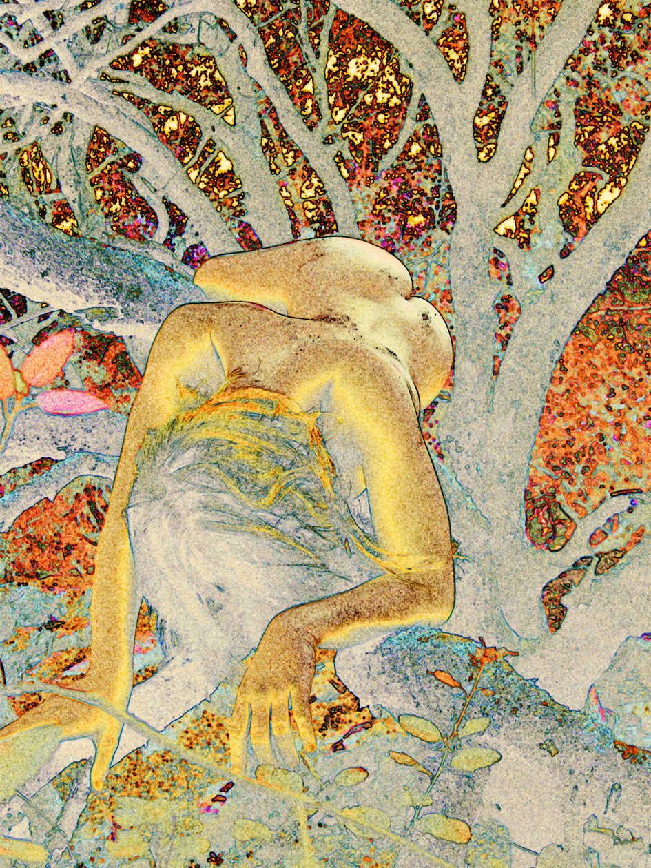 Albero da Joseph Angilella Auquier