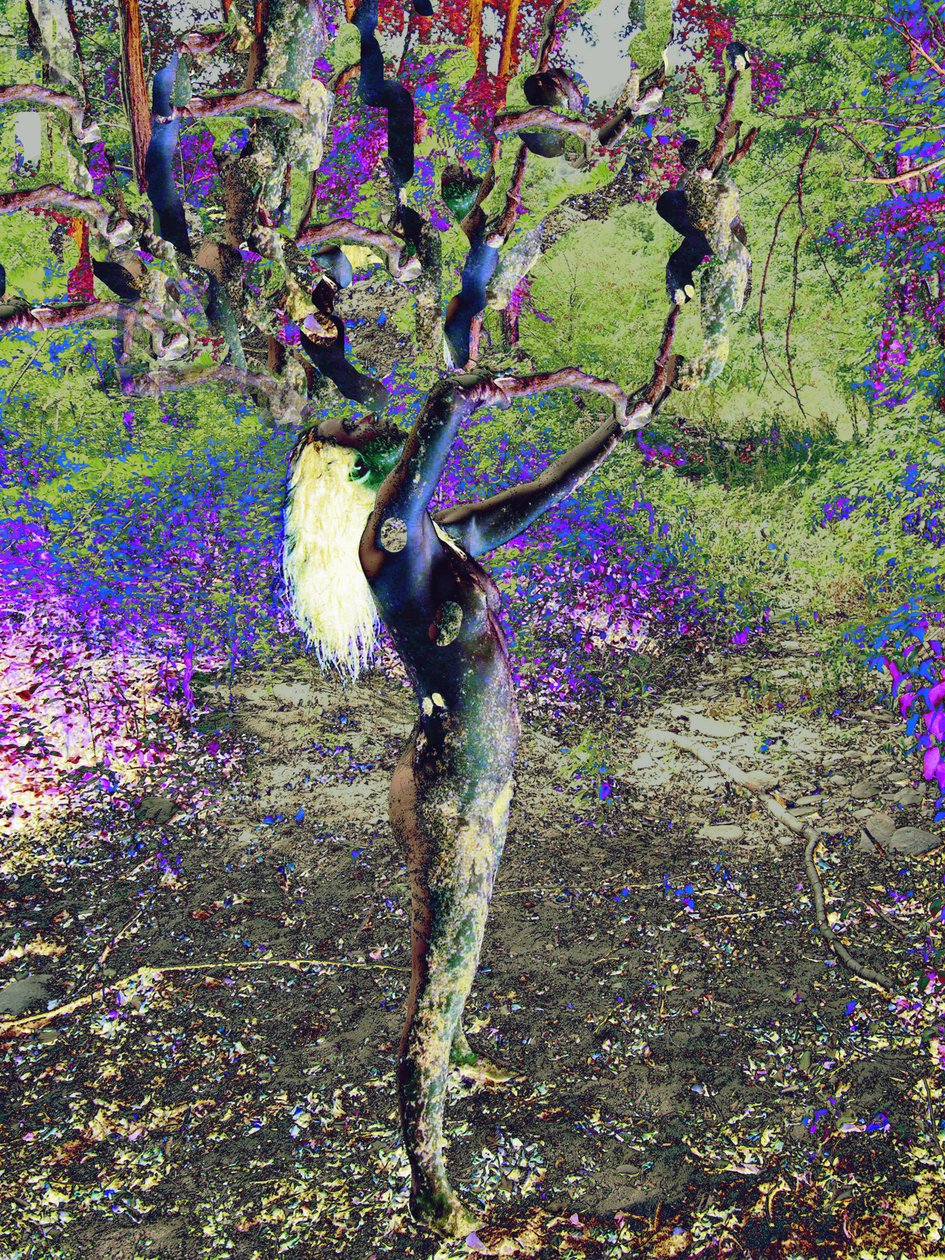Albero blu da Joseph Angilella Auquier