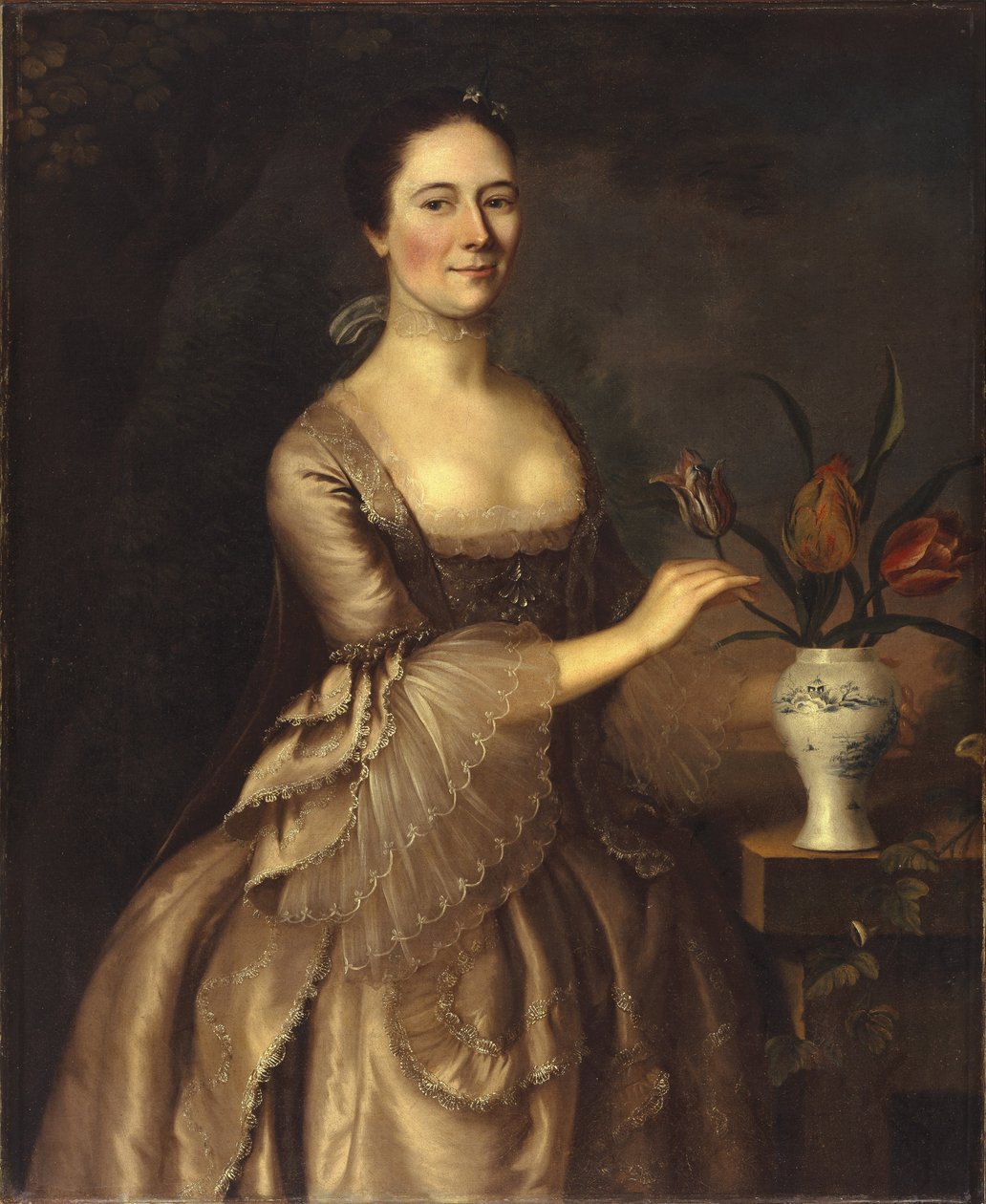 Ritratto di donna da Joseph Blackburn