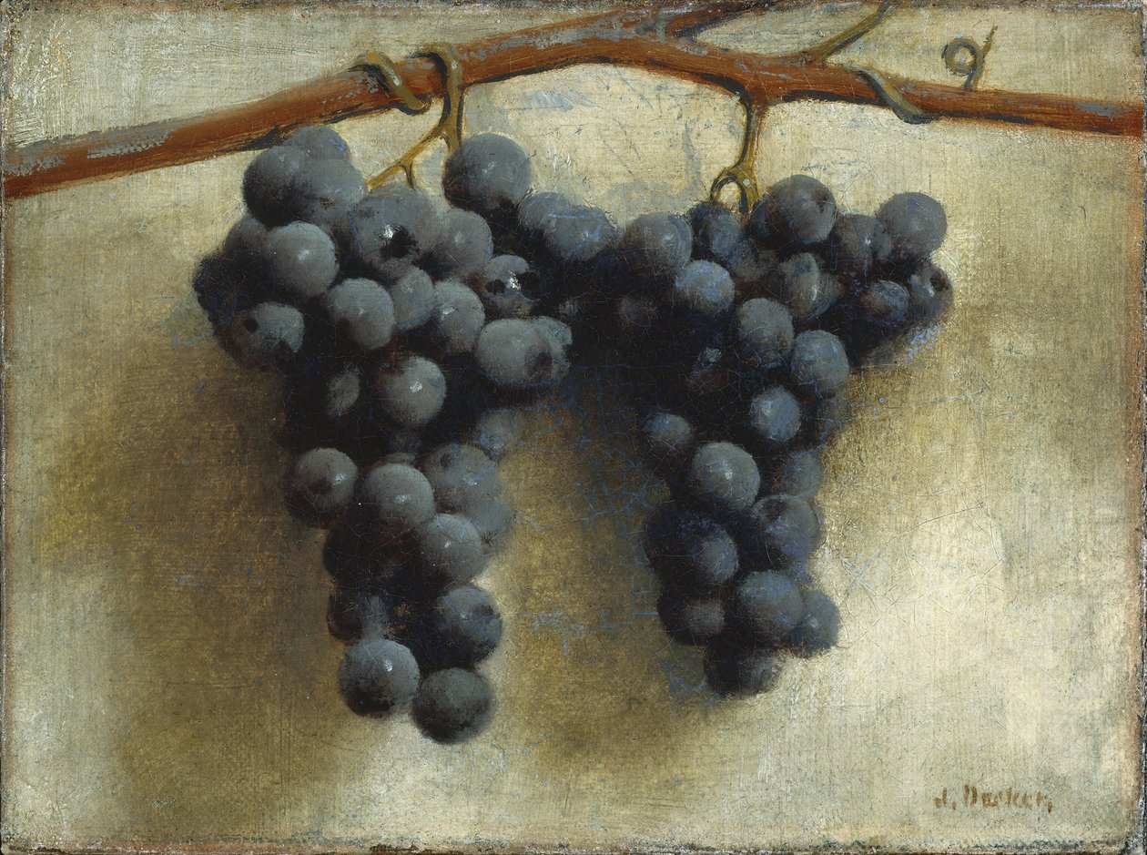 Uva da Joseph Decker