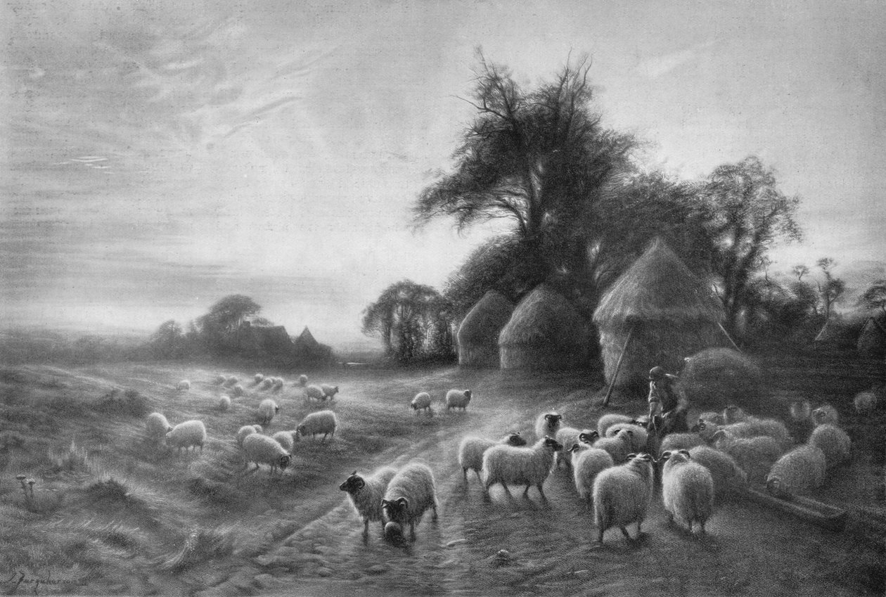 Pecore che si nutrono, c1890, 1911 da Joseph Farquharson