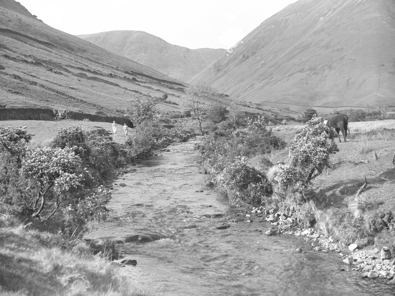 Un ruscello che attraversa il paesaggio di Wastwater da Joseph Hardman