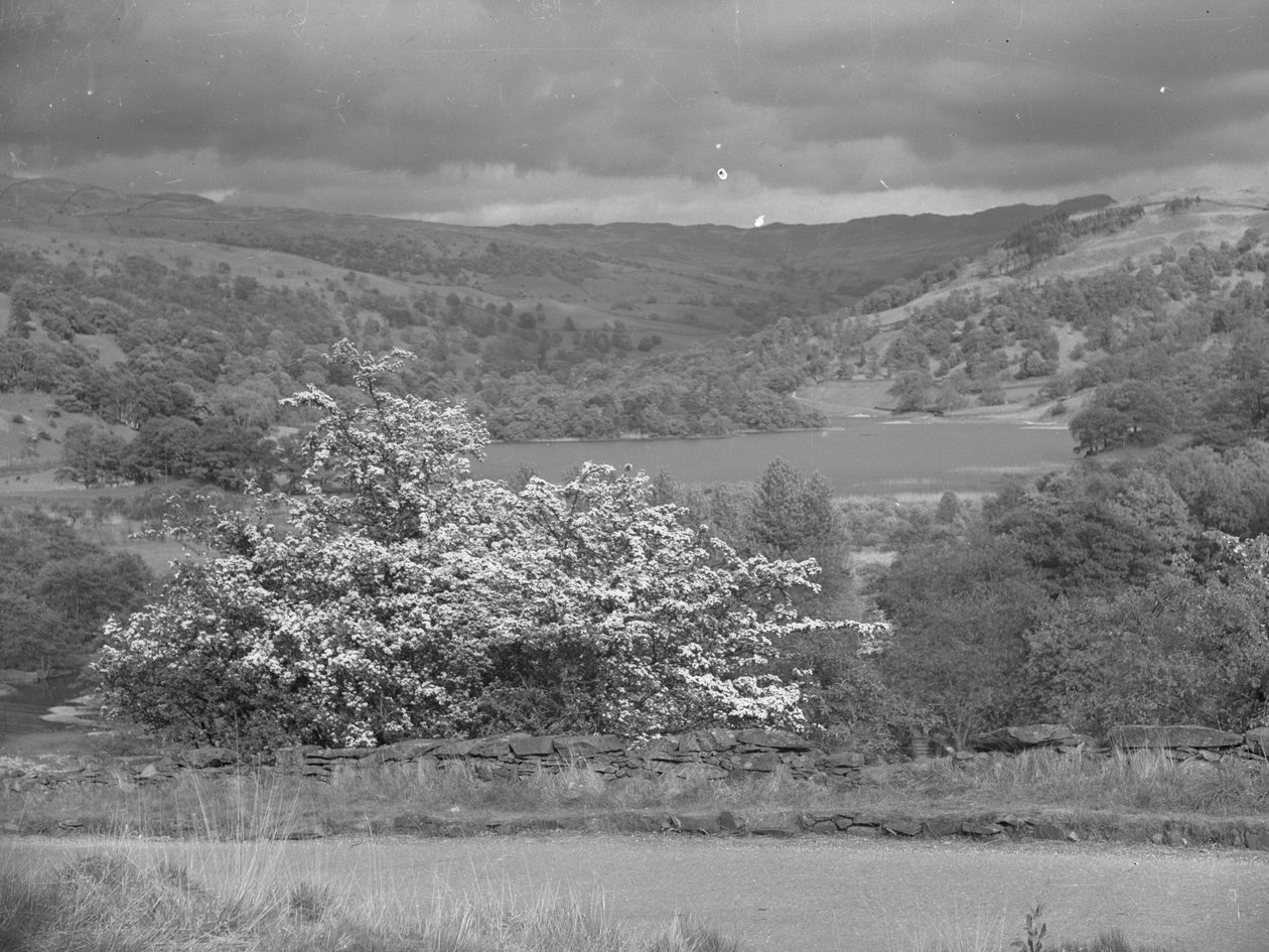 Vista sul lago di Rydal da Joseph Hardman