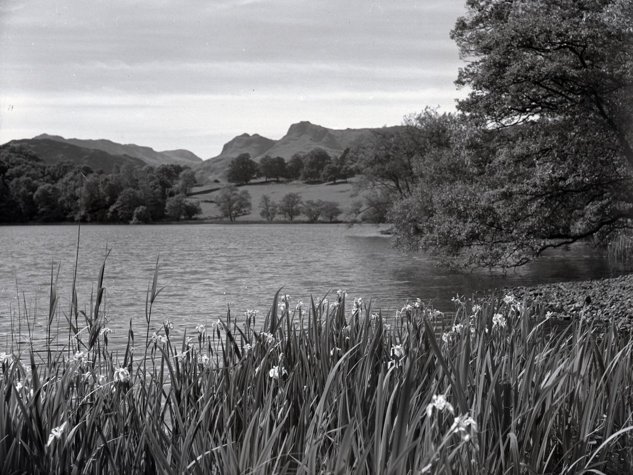 Vista sul Loughrigg Tarn da Joseph Hardman