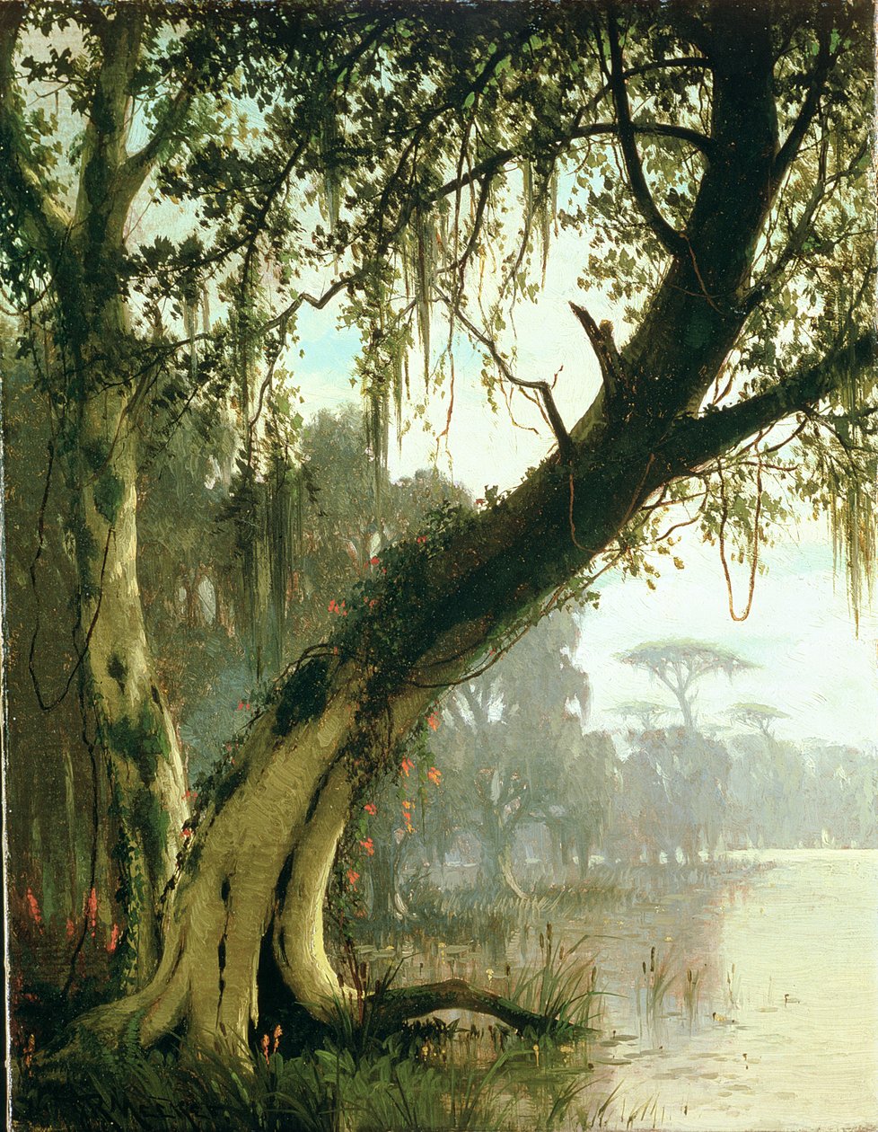 Nella palude da Joseph Rusling Meeker