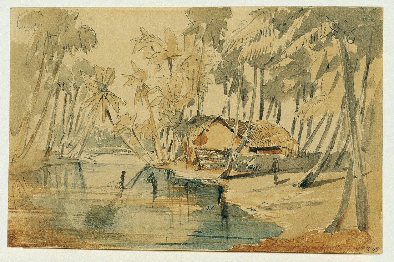 Palmeto a Ceylon (Sri Lanka) da Joseph Selleny