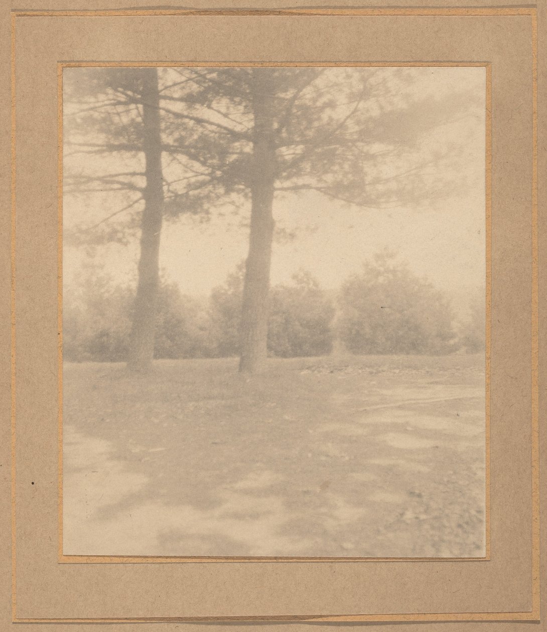 Paesaggio con alberi, c. 1900 (foto) da Joseph T. Keiley