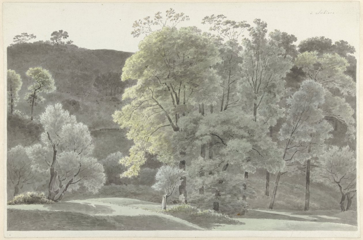 Alberi nei dintorni di Subiaco da Josephus Augustus Knip