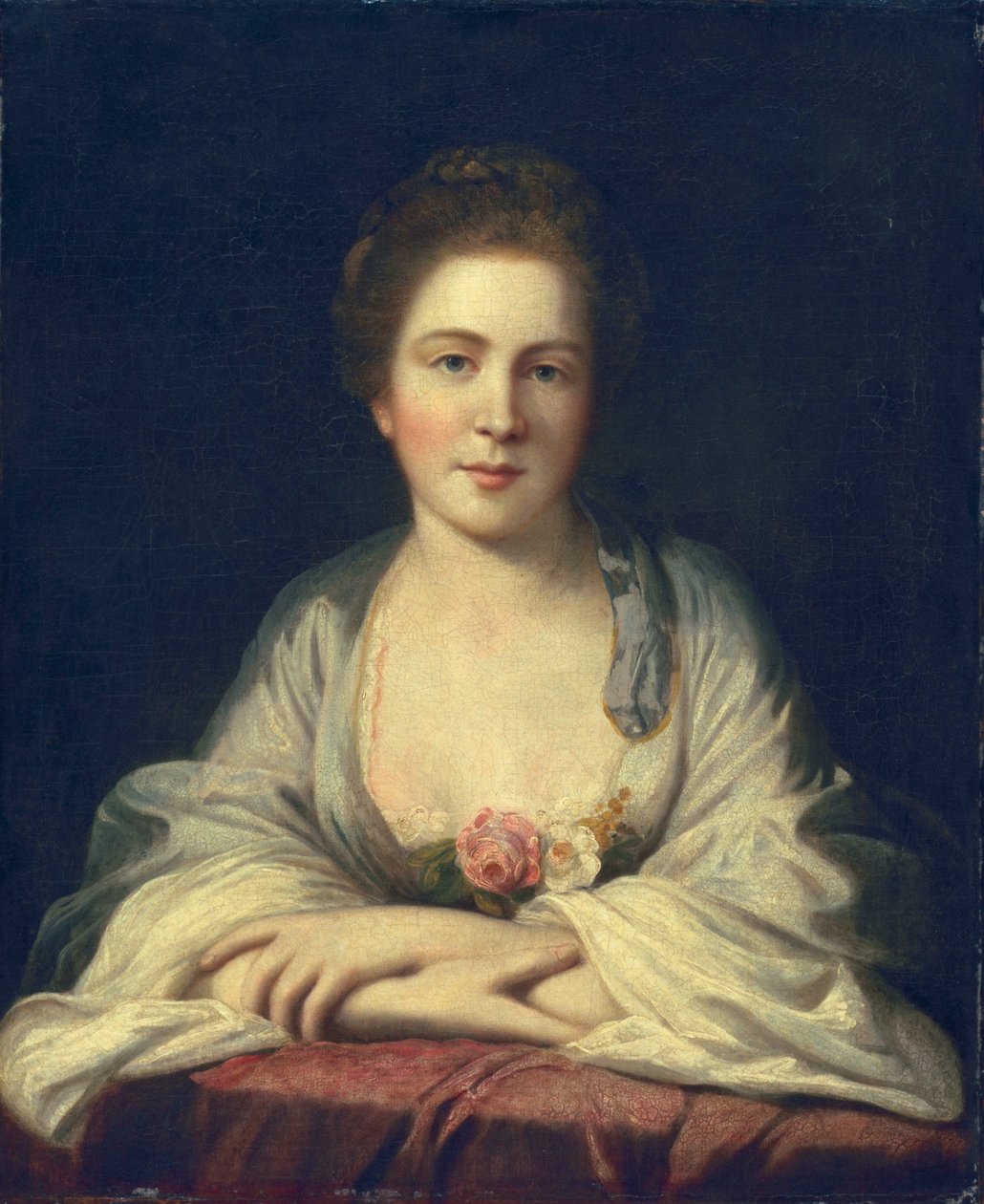 Anne Irwin da Joshua Reynolds